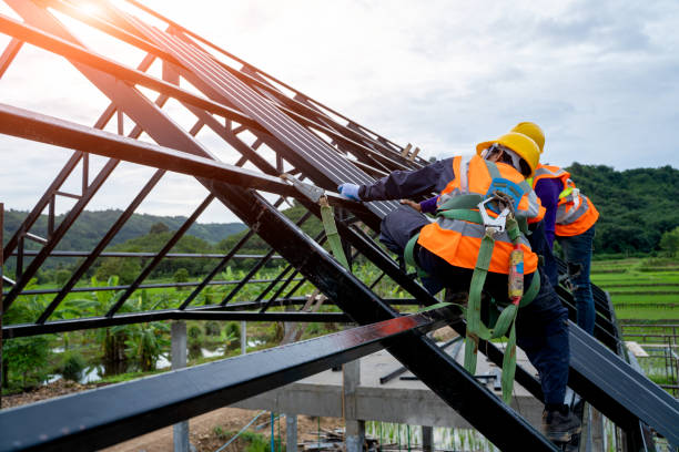Best Roof Gutter Cleaning  in Junction City, KS